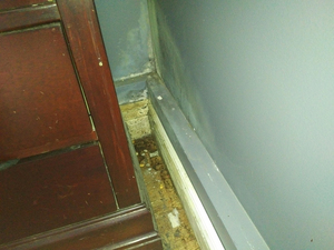 Mould and water damage